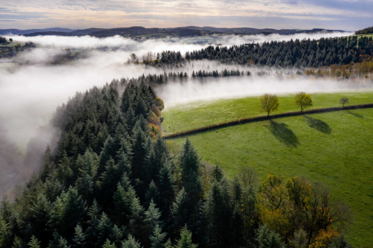 Wynajem busów Bieszczady
